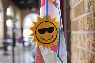 Blog Update Offers 2016 Review